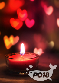 触手可及电影简介